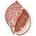 C1: Fill---White(Isacord 40 #1002)
C2: Shine---Pearl / Iridescent(Yenmet/ Isamet #7021)
C3: Edges---Pink Tulip(Isacord 40 #1115)
C4: Inside---Nutmeg(Isacord 40 #1056)
C5: Stripes---Date(Isacord 40 #1216)
C6: Sh