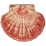 C1: Shell  Underfill---Starfish(Isacord 40 #1019)&#13;&#10;C2: Coloration---Muslin(Isacord 40 #1082)&#13;&#10;C3: Coloration---Shrimp Pink(Isacord 40 #1017)&#13;&#10;C4: Dark Coloration---Rust(Isacord 40 #1058)&#13;&#10;C5: Coloration & Striping---Terra C