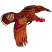 C1: Wing Primaries---Autumn Leaf(Isacord 40 #1126)
C2: Wing Secondaries---Spice(Isacord 40 #1181)
C3: Shoulders---Army Drab(Isacord 40 #1209)
C4: Body Underlay---Palomino(Isacord 40 #1070)
C5: Body Overlay---Rust(Isacor