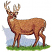 C1: Antlers---Twine(Isacord 40 #1017)
C2: Mountains & Tail---Oxford(Isacord 40 #1222)
C3: Mouth & Tail---Muslin(Isacord 40 #1082)
C4: Shade---Cinnamon(Isacord 40 #1247)
C5: Body---Pecan(Isacord 40 #1128)
C6: Ou