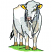 C1: Ears & Eyes---Yellow Bird(Isacord 40 #1124)
C2: Nose---Iced Pink(Isacord 40 #1064)
C3: Hooves---Fawn(Isacord 40 #1128)
C4: Body---White(Isacord 40 #1002)
C5: Shade---Twine(Isacord 40 #1017)
C6: Shade---Smok