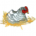 C1: Hen---White(Isacord 40 #1002)
C2: Beak---Goldenrod(Isacord 40 #1137)
C3: Shade---Sage(Isacord 40 #1180)
C4: Light Shade---Glacier Green(Isacord 40 #1223)
C5: Cockscomb---Poinsettia(Isacord 40 #1147)
C6: Lig