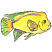 C1: Fish---Lemon Frost(Isacord 40 #1022)
C2: Shading---Yellow(Isacord 40 #1187)
C3: Shading---Papaya(Isacord 40 #1024)
C4: Shading---Bright Mint(Isacord 40 #1510)
C5: Shading---Wild Iris(Isacord 40 #1032)
C6: S