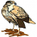 C1: Bird---Meringue(Isacord 40 #1017)
C2: Beak---Cobblestone(Isacord 40 #1219)
C3: Dark Shading---Bark(Isacord 40 #1186)
C4: Light Shading---Muslin(Isacord 40 #1082)
C5: Leg---Shrimp Pink(Isacord 40 #1017)
C6: