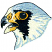 C1: Bird---Muslin(Isacord 40 #1082)&#13;&#10;C2: Eye & Beak---Charcoal(Isacord 40 #1234)&#13;&#10;C3: Feathers---Azure Blue(Isacord 40 #1203)&#13;&#10;C4: Eye & Shading---Goldenrod(Isacord 40 #1137)&#13;&#10;C5: Highlights---White(Isacord 40 #1002)&#13;&#