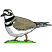 C1: Beak---Whale(Isacord 40 #1041)&#13;&#10;C2: Legs---Pecan(Isacord 40 #1128)&#13;&#10;C3: Feathers---White(Isacord 40 #1002)&#13;&#10;C4: Eye Outline---Goldenrod(Isacord 40 #1137)&#13;&#10;C5: Feathers---Gravel(Isacord 40 #1179)&#13;&#10;C6: Shading & F