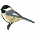 C1: Breast, Nape, Wings & Tail---Muslin(Isacord 40 #1082)
C2: Branch---Redwood(Isacord 40 #1057)
C3: Wings, Tail & Foot---Whale(Isacord 40 #1041)
C4: Flanks---Oat(Isacord 40 #1127)
C5: Shoulders---Cobblestone(Isacord 40