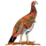 C1: Bird & Sticks---Nutmeg(Isacord 40 #1056)
C2: Breast---Muslin(Isacord 40 #1082)
C3: Shading---Bark(Isacord 40 #1186)
C4: Legs---Old Gold(Isacord 40 #1055)
C5: Face---Shrimp Pink(Isacord 40 #1017)
C6: Shading