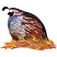 C1: Head & Straw---Fox(Isacord 40 #1186)
C2: Wing & Straw---Spice(Isacord 40 #1181)
C3: Face & Chest---Oat(Isacord 40 #1127)
C4: Chest---Azure Blue(Isacord 40 #1203)
C5: Chest & Back---Charcoal(Isacord 40 #1234)