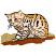 C1: Background---Caper(Isacord 40 #1227)
C2: Background---Rust(Isacord 40 #1058)
C3: Undercoat---Muslin(Isacord 40 #1082)
C4: Coloration---Oat(Isacord 40 #1127)
C5: Shading---Toffee(Isacord 40 #1126)
C6: Nose--