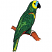 C1: Branch---Nutmeg(Isacord 40 #1056)
C2: Shading---Rust(Isacord 40 #1058)
C3: Claw---Baguette(Isacord 40 #1229)
C4: Parrot---Swiss Ivy(Isacord 40 #1079)
C5: Coloration---Limedrop - neon(Isacord 40 #1510)
C6: F