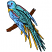 C1: Branch---Redwood(Isacord 40 #1057)
C2: Beak---Cobblestone(Isacord 40 #1219)
C3: Tail Under Feathers---Papaya(Isacord 40 #1024)
C4: Wings & Head---Crystal Blue(Isacord 40 #1249)
C5: Back & Tail Feathers---Baccarat Gr