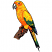 C1: Tree---Pine Bark(Isacord 40 #1170)
C2: Beak & Eye---White(Isacord 40 #1002)
C3: Bird---Citrus(Isacord 40 #1187)
C4: Accent---Apricot(Isacord 40 #1238)
C5: Accent---Red Pepper(Isacord 40 #1078)
C6: Accent---