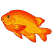 C1: Fish---Goldenrod(Isacord 40 #1137)&#13;&#10;C2: Shading---Tangerine(Isacord 40 #1078)&#13;&#10;C3: Shading---Red Pepper(Isacord 40 #1078)&#13;&#10;C4: Outline---Cherry(Isacord 40 #1169)&#13;&#10;C5: Eye---Black(Isacord 40 #1234)