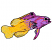 C1: Fish Front---Wild Iris(Isacord 40 #1032)&#13;&#10;C2: Shading---Boysenberry(Isacord 40 #1192)&#13;&#10;C3: Fish Back---Papaya(Isacord 40 #1024)&#13;&#10;C4: Shading---Toffee(Isacord 40 #1126)&#13;&#10;C5: Shading---Red Pepper(Isacord 40 #1078)&#13;&#1