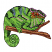 C1: Branch---Pecan(Isacord 40 #1128)
C2: Branch---Pine Bark(Isacord 40 #1170)
C3: Fill---Pear(Isacord 40 #1049)
C4: Shade---Lime(Isacord 40 #1176)
C5: Mouth & Eye---Candlelight(Isacord 40 #1137)
C6: Accent---Bl