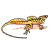 C1: Background---Rust(Isacord 40 #1058)
C2: Lizard---Parchment(Isacord 40 #1066)
C3: Highlights---Muslin(Isacord 40 #1082)
C4: Stripes---Nutmeg(Isacord 40 #1056)
C5: Stripes---Umber(Isacord 40 #1173)
C6: Outlin