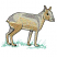 C1: Grass---Silver Sage(Isacord 40 #1045)&#13;&#10;C2: Fur---Vanilla(Isacord 40 #1022)&#13;&#10;C3: Fur---Flax(Isacord 40 #1055)&#13;&#10;C4: Fur---Fieldstone(Isacord 40 #1236)&#13;&#10;C5: Fur---Cobblestone(Isacord 40 #1219)&#13;&#10;C6: Outline---Black(