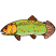 C1: Fish---Bright Mint(Isacord 40 #1510)&#13;&#10;C2: Gills---Goldenrod(Isacord 40 #1137)&#13;&#10;C3: Dark Shading---Bark(Isacord 40 #1186)&#13;&#10;C4: Light Shading---Vanilla(Isacord 40 #1022)&#13;&#10;C5: Spots---Yellow Bird(Isacord 40 #1124)&#13;&#10