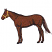 C1: Horse---Redwood(Isacord 40 #1057)&#13;&#10;C2: Shading---Mahogany(Isacord 40 #1215)&#13;&#10;C3: Halter---Old Gold(Isacord 40 #1055)&#13;&#10;C4: Outline---Black(Isacord 40 #1234)
