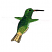 C1: Wings---White(Isacord 40 #1002)
C2: Tail---Meringue(Isacord 40 #1017)
C3: Tail Shading---Fawn(Isacord 40 #1128)
C4: Beak---Spanish Tile(Isacord 40 #1020)
C5: Body---Lime(Isacord 40 #1176)
C6: Body Shading--