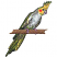 C1: Fill---White(Isacord 40 #1002)
C2: Tail & Tail Feathers---Lemon(Isacord 40 #1167)
C3: Feathers---Lima Bean(Isacord 40 #1177)
C4: Shade---Sterling(Isacord 40 #1011)
C5: Shade---Backyard Green(Isacord 40 #1175)&#