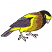 C1: Feet---Chiffon(Isacord 40 #1064)&#13;&#10;C2: Wing---Linen(Isacord 40 #1071)&#13;&#10;C3: Bird---Citrus(Isacord 40 #1187)&#13;&#10;C4: Wing---Leadville(Isacord 40 #1220)&#13;&#10;C5: Shade---Pine Bark(Isacord 40 #1170)&#13;&#10;C6: Shade---Fox(Isacord