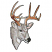 C1: Inner Ear---White(Isacord 40 #1002)
C2: Shade---Twine(Isacord 40 #1017)
C3: Deer---Mystik Grey(Isacord 40 #1218)
C4: Shade---Gravel(Isacord 40 #1179)
C5: Shade---Dolphin(Isacord 40 #1219)
C6: Antlers---Line