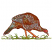 C1: Legs & Beak---Apricot(Isacord 40 #1238)
C2: Body---Sage(Isacord 40 #1180)
C3: Face---Azure Blue(Isacord 40 #1203)
C4: Feathers---Nutmeg(Isacord 40 #1056)
C5: Face---Blossom(Isacord 40 #1257)
C6: Feathers---