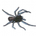 C1: Spider---Azure Blue(Isacord 40 #1203)
C2: Shade---Whale(Isacord 40 #1041)
C3: Outlines---Black(Isacord 40 #1234)