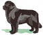 C1: Green
C2: Black
C3: Dk. Gray
C4: Gray
C5: Dk. Gray
C6: Brown
C7: Dk. Brown
C8: White
C9: Black