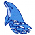 C1: Belly---Ice Cap(Isacord 40 #1074)&#13;&#10;C2: Dolphin---Celestial(Isacord 40 #1028)&#13;&#10;C3: Outline---Nordic Blue(Isacord 40 #1076)