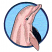 C1: Background---Crystal Blue(Isacord 40 #1249)&#13;&#10;C2: Dolphin---Shrimp Pink(Isacord 40 #1017)&#13;&#10;C3: Shade---Pink Clay(Isacord 40 #1019)&#13;&#10;C4: Detail---Fawn(Isacord 40 #1128)&#13;&#10;C5: Outline Circle---Harbor(Isacord 40 #1171)&#13;&