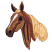 C1: Horse---Palomino(Isacord 40 #1070)&#13;&#10;C2: Horse Shading---Golden Grain(Isacord 40 #1126)&#13;&#10;C3: Horse Shading, Eyes, & Nostrils---Chocolate(Isacord 40 #1059)&#13;&#10;C4: Mane---Daffodil(Isacord 40 #1135)&#13;&#10;C5: Mane Shading---Lemon(