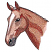 C1: Blaze---White(Isacord 40 #1002)
C2: Horse---Old Gold(Isacord 40 #1055)
C3: Horse Shading---Sisal(Isacord 40 #1055)
C4: Horse Shading---Candlelight(Isacord 40 #1137)
C5: Horse Shading & Ear---Date(Isacord 40 #1216)&#