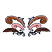 C1: Middle Feathers---Starfish(Isacord 40 #1019)&#13;&#10;C2: Top Feathers---Autumn Leaf(Isacord 40 #1126)&#13;&#10;C3: Bottom Feathers & Shading on Top Feathers---Redwood(Isacord 40 #1057)&#13;&#10;C4: Shaft on Lower Feathers---Salmon(Isacord 40 #1259)&#