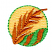C1: Background---Buttercup(Isacord 40 #1135)
C2: Wheat---Candlelight(Isacord 40 #1137)
C3: Field & Outline---Limedrop - neon(Isacord 40 #1510)