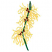 C1: Leaf---Champagne(Isacord 40 #1070)
C2: Stem & Leaf Outlines---Tarnished Gold(Isacord 40 #1227)
C3: Calyxes---Terra Cotta(Isacord 40 #1081)
C4: Petals---Buttercup(Isacord 40 #1135)