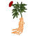 C1: Leaves---Lima Bean(Isacord 40 #1177)
C2: Leaf Outlines---Deep Green(Isacord 40 #1174)
C3: Ginseng Roots---Shrimp(Isacord 40 #1258)
C4: Root Outlines---Apricot(Isacord 40 #1238)
C5: Flower---Geranium(Isacord 40 #1039