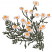C1: Leaves---Lima Bean(Isacord 40 #1177)&#13;&#10;C2: Flower Petals---Muslin(Isacord 40 #1082)&#13;&#10;C3: Flower Outlines---Oat(Isacord 40 #1127)&#13;&#10;C4: Flower Centers---Papaya(Isacord 40 #1024)