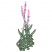C1: Stems---Pear(Isacord 40 #1049)
C2: Flowers---Impatience(Isacord 40 #1111)
C3: Leaves---Bright Mint(Isacord 40 #1510)
C4: Leaf Outlines---Lima Bean(Isacord 40 #1177)