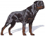 C1: Lt. Gray
C2: Gray
C3: Dk. Gray
C4: Brown
C5: Dk. Brown
C6: Gray
C7: Dk. Gray
C8: Dk. Brown
C9: Dk. Orange
C10: Black