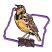 C1: State---Grape(Isacord 40 #1032)
C2: Breast, Throat, & Face---Citrus(Isacord 40 #1187)
C3: Neck, Wing, Tail---Parchment(Isacord 40 #1066)
C4: Throat, Breast, & Wings Shading---Gold(Isacord 40 #1185)
C5: Spots & Stump