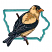 C1: State---Trellis Green(Isacord 40 #1503)
C2: Head, Back, & Breast---Buttercup(Isacord 40 #1135)
C3: Branch & Shading on Head, Back, & Breast---Ginger(Isacord 40 #1159)
C4: Beak & Shading on Head & Back---Goldenrod(Isacord 40