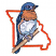 C1: State ---Pumpkin(Isacord 40 #1168)
C2: Breast---White(Isacord 40 #1002)
C3: Breast Shading---Sterling(Isacord 40 #1011)
C4: Breast Shading---Azure Blue(Isacord 40 #1203)
C5: Throat---Candlelight(Isacord 40 #1137)