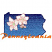 C1: State---Crystal Blue(Isacord 40 #1249)&#13;&#10;C2: State Shading & Outlines---Dark Ink(Isacord 40 #1112)&#13;&#10;C3: Branch---Pine Bark(Isacord 40 #1170)&#13;&#10;C4: Flowers---White(Isacord 40 #1002)&#13;&#10;C5: Flower Shading ---Flesh(Isacord 40