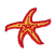 C1: Starfish---Canary(Isacord 40 #1124)
C2: Outline---Wildfire(Isacord 40 #1147)