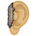 C1: Ear---Cornsilk(Isacord 40 #1055)&#13;&#10;C2: Ear Shading---Toffee(Isacord 40 #1126)&#13;&#10;C3: Ear Outlines---Honey Gold(Isacord 40 #1025)&#13;&#10;C4: Fur---Ivory(Isacord 40 #1149)&#13;&#10;C5: Fur Shading---Pecan(Isacord 40 #1128)&#13;&#10;C6: Fu