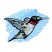 C1: Background---Crystal Blue(Isacord 40 #1249)
C2: Wings---SeaFoamGreenMetallic(Yenmet/ Isamet #7041)
C3: Hummingbird---Linen(Isacord 40 #1071)
C4: Throat Patch---Wildfire(Isacord 40 #1147)
C5: Wing Patches---Azalea Pi