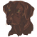 C1: Dk. Brown
C2: Brown
C3: Lt. Brown
C4: Gold
C5: Dk. Dk. Brown
C6: Black
C7: White
C8: Lt. Brown